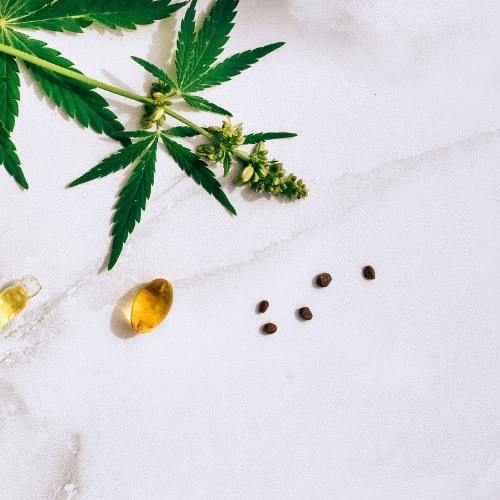 Understanding CBD products and addiction